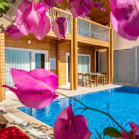 Eco Defne Villa *